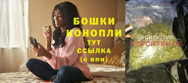 mix Снежногорск