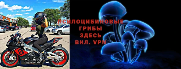 твердый Алексеевка